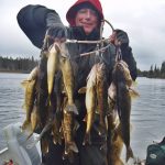 Walleye Fish