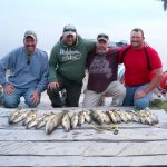 Great Catch of walleye