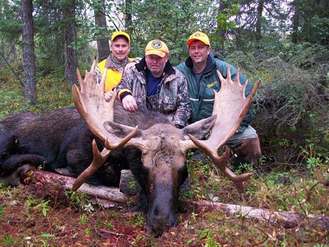 Moose Hunting - Gray Wood Outfitters Moose Hunting - Gray Wood Outfitters
