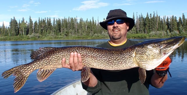 Man Posing with a pike