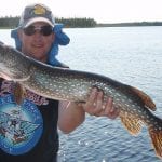 Northern Pike catch