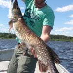 Man holding a pike
