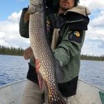 Man holding a pike fish