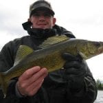 Man Posing with a Walleye