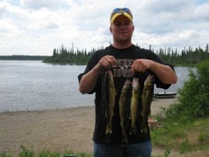 Man posing with his haul of walleye